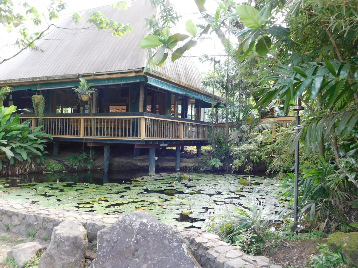 热带雨林生态小屋酒店 苏瓦 外观 照片